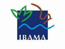 IBAMA - Relatório Anual de Atividades Potencialmente Poluidoras e Utilizadoras de Recursos Ambientais (RAPP)
